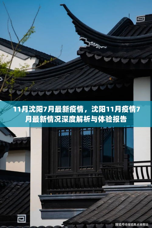 沈阳11月与7月疫情深度解析与体验报告