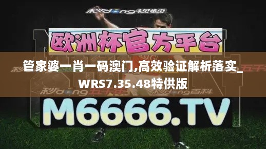 管家婆一肖一码澳门,高效验证解析落实_WRS7.35.48特供版