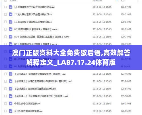 澳门正版资料大全免费歇后语,高效解答解释定义_LAB7.17.24体育版