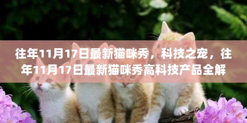 往年11月17日最新猫咪秀，科技之宠与高科技产品全解析