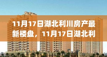 11月17日湖北利川房产最新楼盘购房全攻略与步骤详解