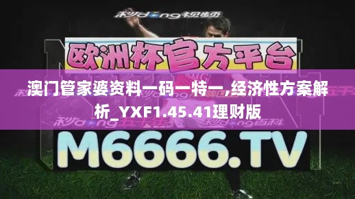 澳门管家婆资料一码一特一,经济性方案解析_YXF1.45.41理财版