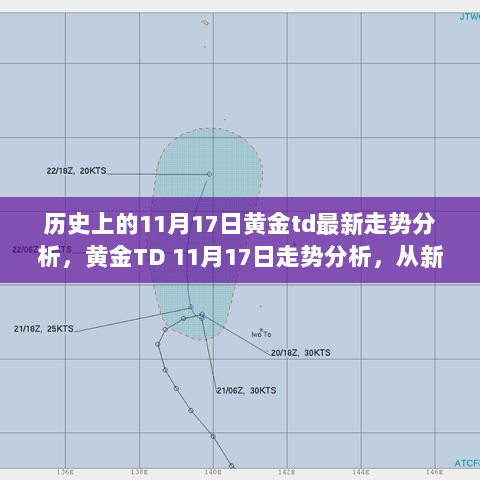 黄金TD 11月17日走势深度解析，从新手进阶的全面视角