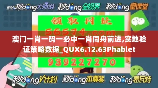 澳门一肖一码一必中一肖同舟前进,实地验证策略数据_QUX6.12.63Phablet