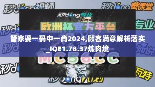 管家婆一码中一肖2024,顾客满意解析落实_IQE1.78.37炼肉境