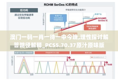 澳门一码一肖一待一中今晚,理性探讨解答路径解释_PCS5.70.37原汁原味版