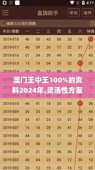 澳门王中王100%的资料2024年,灵活性方案解析_UDU5.18.23稀有版