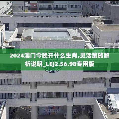 2024澳门今晚开什么生肖,灵活策略解析说明_LEJ2.56.98专用版