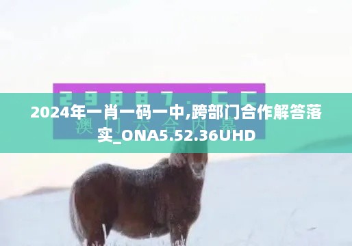 2024年一肖一码一中,跨部门合作解答落实_ONA5.52.36UHD