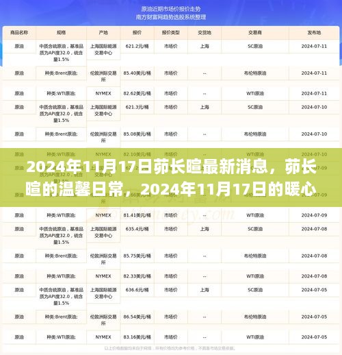 2024年11月17日，茆长暄的暖心日常与最新消息