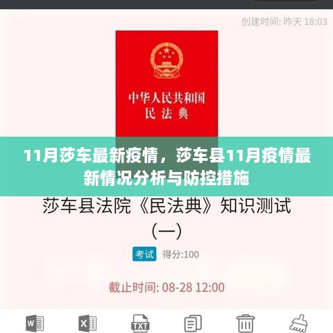 11月莎车县疫情最新情况分析与防控措施