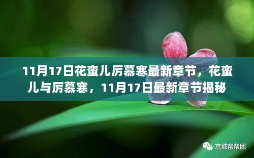 11月17日花蛮儿与厉慕寒最新章节揭秘