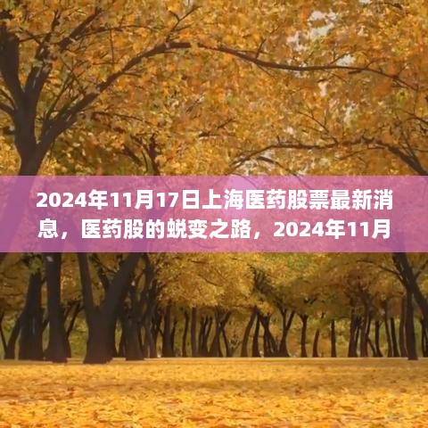 上海医药股票蜕变之路，2024年11月17日最新消息与个人成长之旅的交织