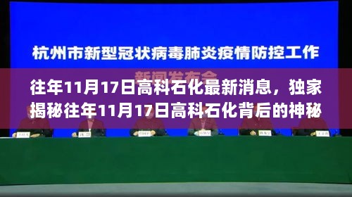 独家揭秘，往年11月17日高科石化背后的神秘小店——探访隐藏在小巷的特色美食秘境