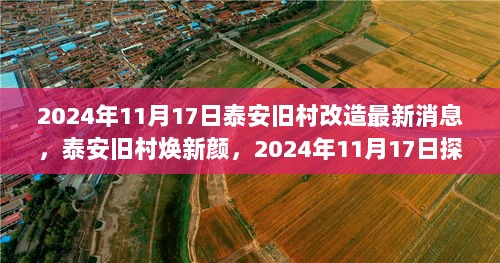 泰安旧村改造探秘，2024年11月17日焕新颜的喜悦与宁静之旅