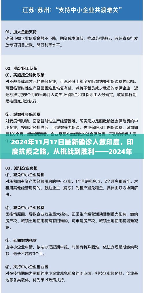 印度抗疫之路，从挑战到胜利——2024年11月17日最新确诊人数背后的故事