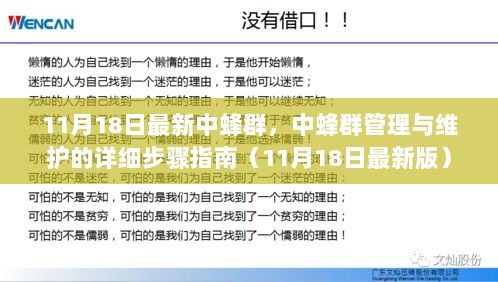 中蜂群管理与维护的详细步骤指南（11月18日最新版）