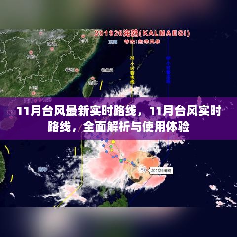 11月台风实时路线解析与全面使用体验