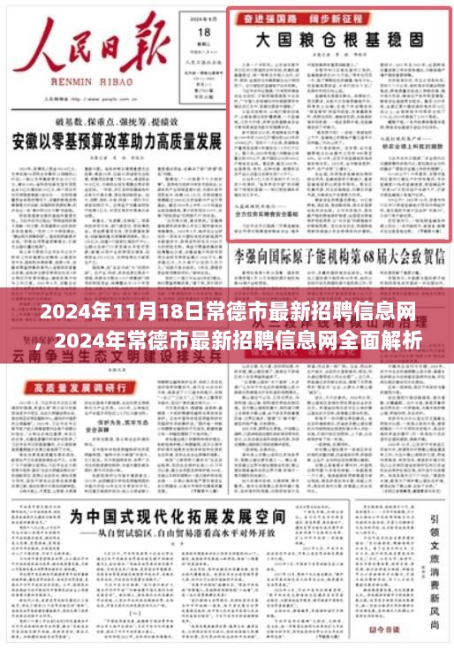 2024年常德市最新招聘信息网全面解析