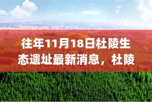 11月18日杜陵生态遗址的暖心故事，爱与陪伴的见证