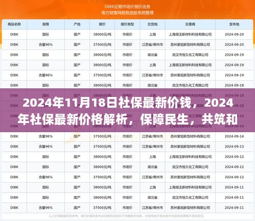 2024年11月社保最新价格解析，保障民生，共筑和谐社会