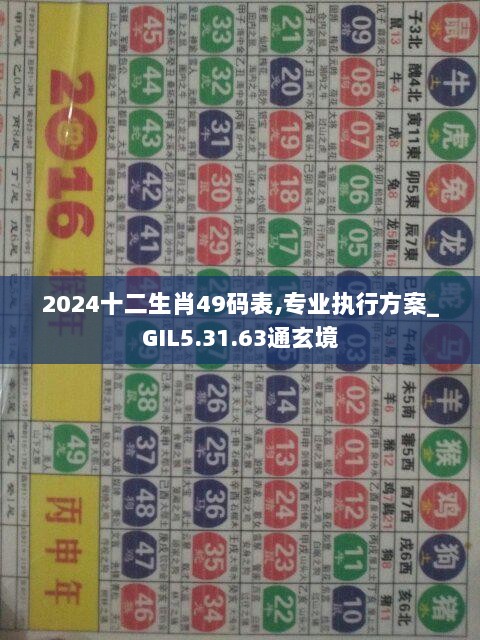 2024十二生肖49码表,专业执行方案_GIL5.31.63通玄境