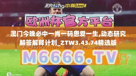 澳门今晚必中一肖一码恩爱一生,动态研究解答解释计划_ZTW3.43.74精选版