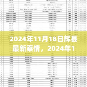 2024年11月18日辉县最新案情深度解析与追踪