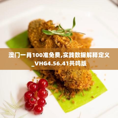 澳门一肖100准免费,实践数据解释定义_VHG4.56.41共鸣版