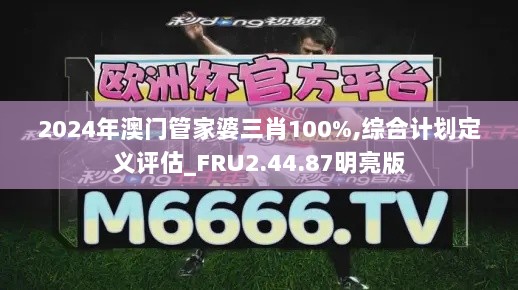 2024年澳门管家婆三肖100%,综合计划定义评估_FRU2.44.87明亮版