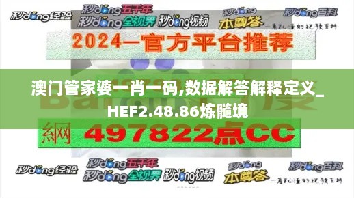 澳门管家婆一肖一码,数据解答解释定义_HEF2.48.86炼髓境