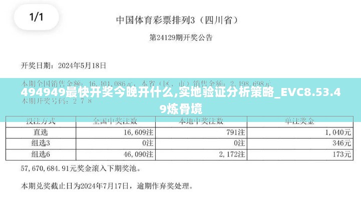 494949最快开奖今晚开什么,实地验证分析策略_EVC8.53.49炼骨境