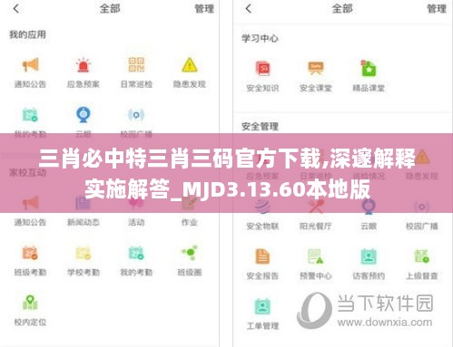 三肖必中特三肖三码官方下载,深邃解释实施解答_MJD3.13.60本地版