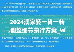 2024澳家婆一肖一特,调整细节执行方案_WER3.33.73家庭版