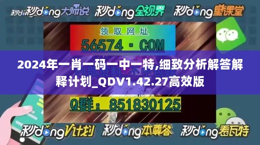 2024年一肖一码一中一特,细致分析解答解释计划_QDV1.42.27高效版