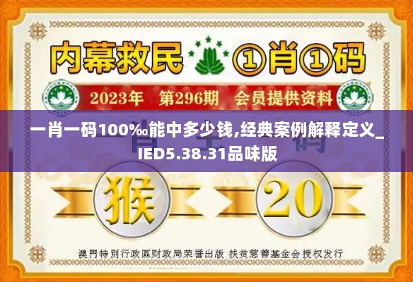 一肖一码100‰能中多少钱,经典案例解释定义_IED5.38.31品味版