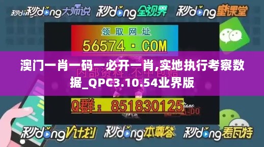 澳门一肖一码一必开一肖,实地执行考察数据_QPC3.10.54业界版