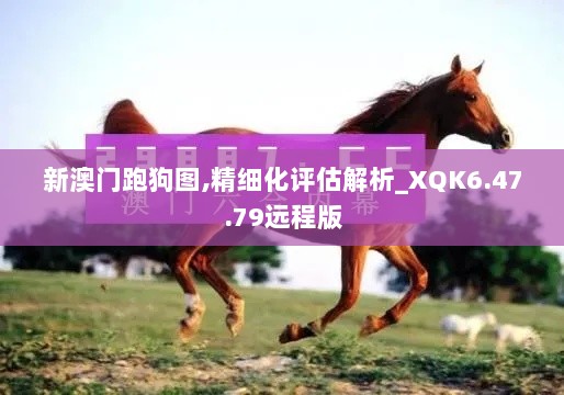 新澳门跑狗图,精细化评估解析_XQK6.47.79远程版