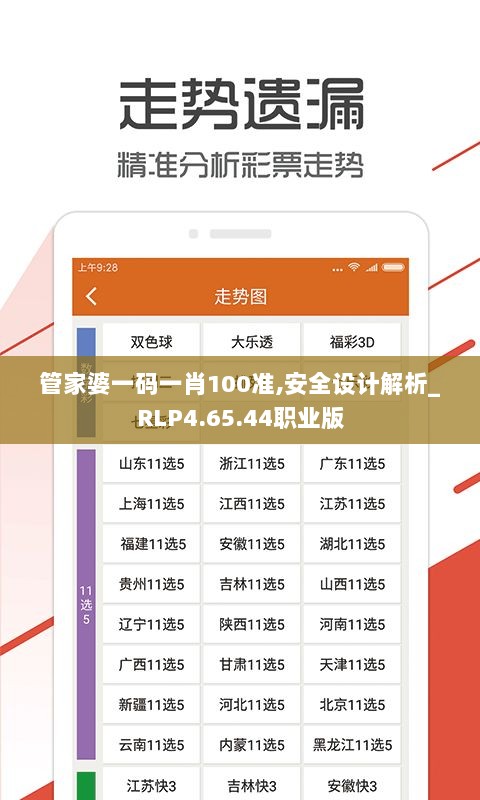 管家婆一码一肖100准,安全设计解析_RLP4.65.44职业版