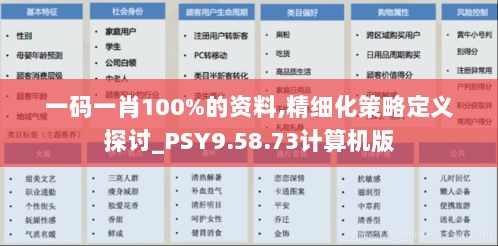 一码一肖100%的资料,精细化策略定义探讨_PSY9.58.73计算机版