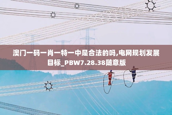 澳门一码一肖一特一中是合法的吗,电网规划发展目标_PBW7.28.38随意版