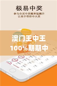 澳门王中王100%期期中一期,实际案例分析说明_VJI7.34.62通行证版