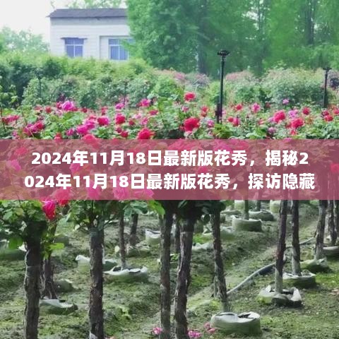 2024年11月18日最新版花秀揭秘，探访隐藏小巷的特色小店之旅