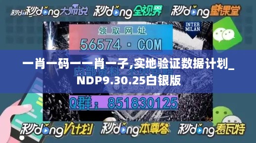 一肖一码一一肖一子,实地验证数据计划_NDP9.30.25白银版