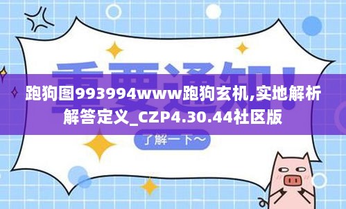 跑狗图993994www跑狗玄机,实地解析解答定义_CZP4.30.44社区版