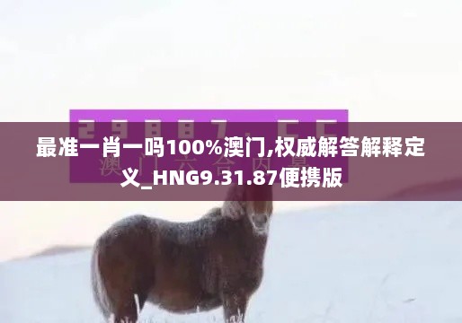 最准一肖一吗100%澳门,权威解答解释定义_HNG9.31.87便携版