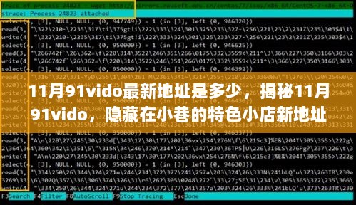 揭秘11月91vido新地址，特色小店探访记