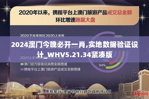 2024澳门今晚必开一肖,实地数据验证设计_WHV5.21.34紧凑版