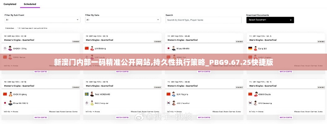 新澳门内部一码精准公开网站,持久性执行策略_PBG9.67.25快捷版