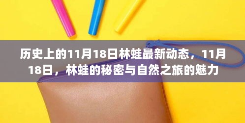 11月18日，林蛙的秘密与自然之旅的魅力——历史时刻的林蛙最新动态